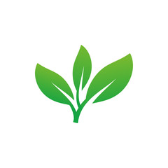 leaf icon vector logo template