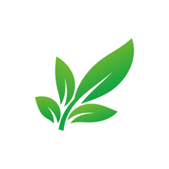 leaf icon vector logo template