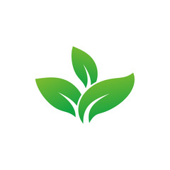 leaf icon vector logo template