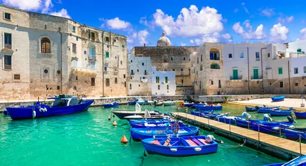 Foto auf Glas Traditional Italy - white town Monopoli with colorful fishinng boats. Puglia, Italy © Freesurf