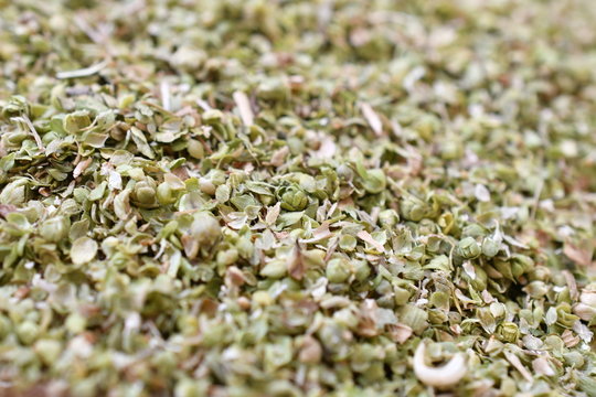 oregano, thyme, spice, plant, herbal tea, herbal, tea, factory, production, production line, natural, turkey, denizli, pamukkale, gozler, harvest, fresh thyme, kekik