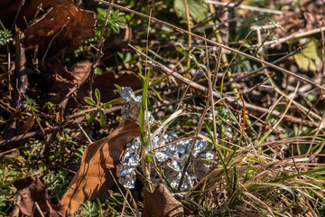 Plastic waste thrown away in the middle of nature