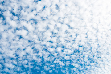 Fototapeta na wymiar spring blue sky with fluffy clouds moved by the wind