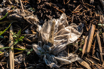 Plastic waste thrown away in the middle of nature