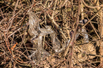 Plastic waste thrown away in the middle of nature
