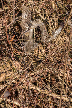 Plastic waste thrown away in the middle of nature