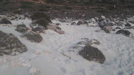 Elafonissi beach in Crete in September 2017