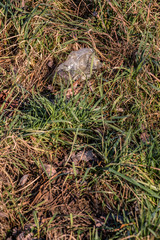 Plastic waste thrown away in the middle of nature