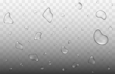 Raindrops. Water bubbles. Many Realistic water drops on transparent background. Water rain drops or steam shower. Realistic pure droplets Or Vapor Trough Window Glass