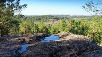 25 Bumps Circuit hiking path in the Fontainebleau forest