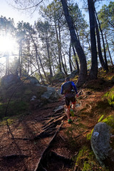 Hiking trail 25 bump circuit in Fontainebleau forest