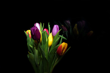 Fototapeta premium multicolored tulips on a black background with reflection