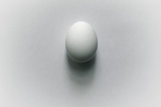 Egg on a white surface. One chicken egg on a white background