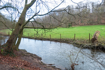 Fluss und Wald in wilder Natur