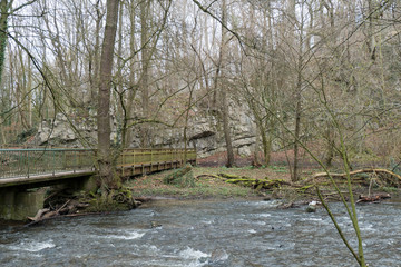 Fluss und Wald in wilder Natur
