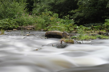 Wasser Langzeitbelichtet