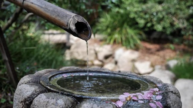 Water dripping out of bamboo fountain in Japanese style garden, closeup