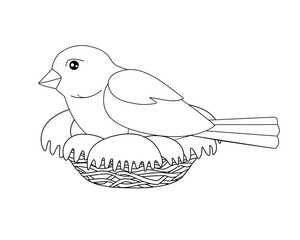 Bird sits on a nest - vector linear picture for coloring. A small bird - a sparrow hatches eggs in a cozy nest. Outline. Hand drawing.
