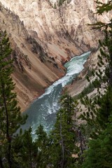 Yellowstone River in the Grand Canyon of the Yellowstone