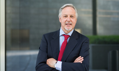 Smiling businessman portrait