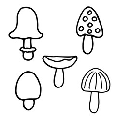 Vector illustration. Set of contour of forest mushrooms isolated on white background. Hand drawn simple doodle clipart. Autumn or occult element. 