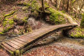 Foto op Canvas Little bridge across the creek down the canyon in the middle of the green forest © Hacki Hackisan