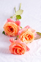Fototapeta premium Beautiful bouquet of fresh natural roses flowers on a table covered white cloth against light grey wall.