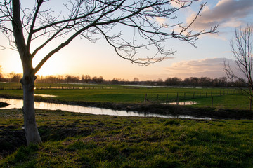 Abendstimmung und Dämmerung im Elsebruch, ein Flusstal, Niederung in Bünde einer Stadt in...