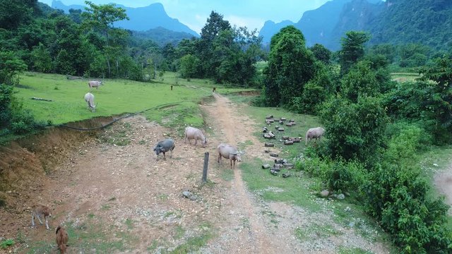 Paysage autour de la ville de Vang Vieng au Laos vue du ciel