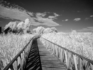 infrared