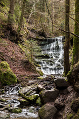 Little waterfall down the canyon in the middle of the green forest