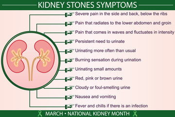 Kidney stones disease symptoms infographic. Health, and march national kidney month concept. For presentation, banner, brochure. An illustration prepared in eps 10 file format.