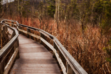 Walkway and vegetation