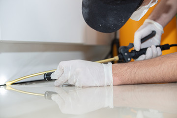 pest control worker With Flashlight  Spraying Insecticide