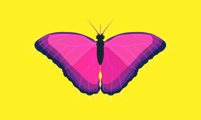 butterfly on yellow background