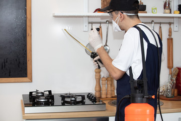 pest control worker With Flashlight  Spraying Insecticide