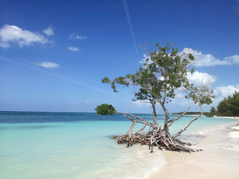 Vacation holidays background wallpaper. tropical beach in Varadero, Cuba.