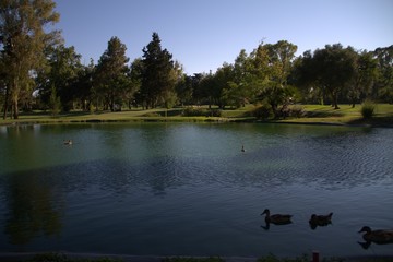 Un lago para compartir