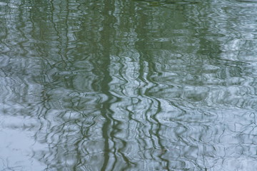 Bäume spiegeln sich im Wasser eines Flusses