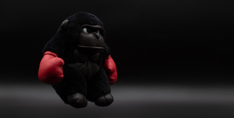 Stuffed gorilla boxer with angry face posing on a dark background © Gustavo Muñoz