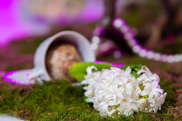 the decor is made of white hyacinth with highlights of purple lying on the grass in the foreground, and the bulb in the cup in the background is out of focus.