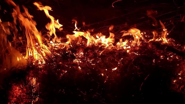 Dry grass is burning in the field, night time. Includes audio. 4K footage. The theme of arson, disaster and emergency events, negative impact on flora and fauna. Night shot