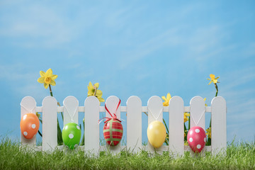 Spring grass and wooden fence with narcissus and easter decoration on cloudy sky
