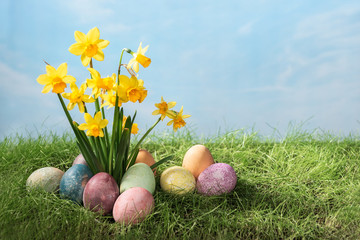 Narcissus flower with easter eggs in spring grass with sky