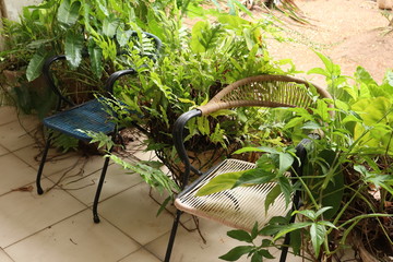 Residential Gardening with chairs of garden.