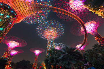 Garden by the bay, Singapore