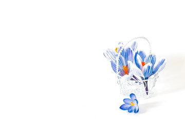 Decorative basket decorated with blue crocuses on a white background