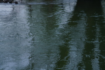 Bäume spiegeln sich im Wasser eines Flusses, Landschaft in dezenten Farben