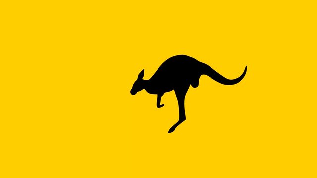 Jumping kangaroo, animation on the yellow background
