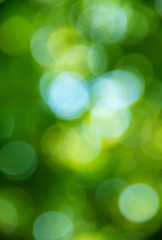 Obraz premium Green blurred background and sunlight